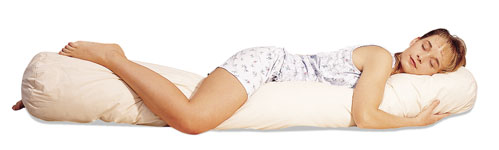 The Sleeping Bean